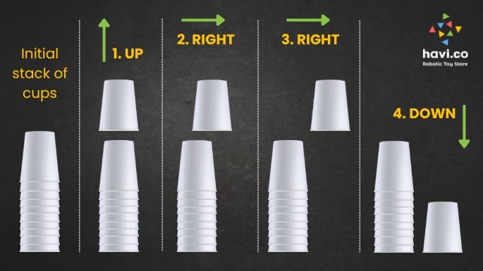 cup coding activity
