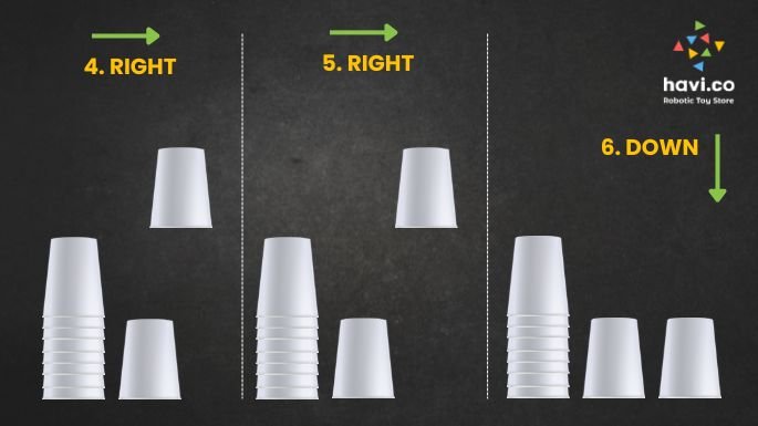 cup coding activity