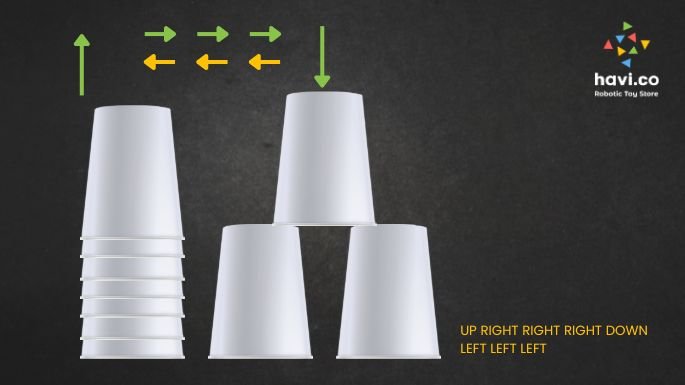 cup coding activity
