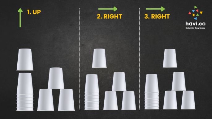 cup coding activity