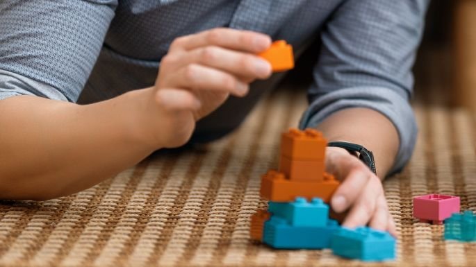 playing-lego-adult-haviplex.com