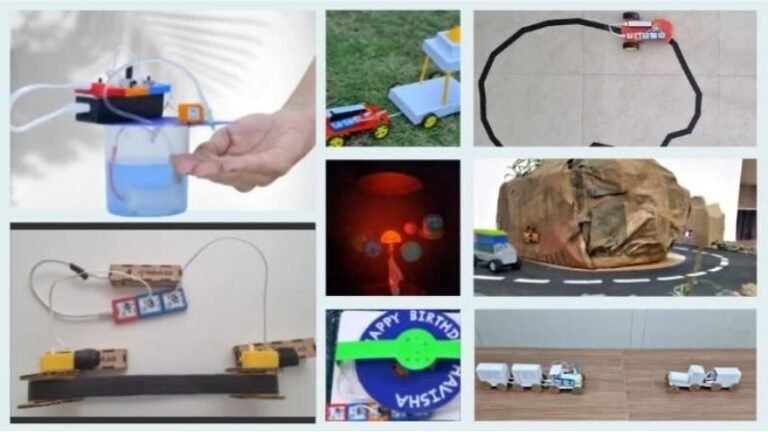 8 Vacation projects for students at home