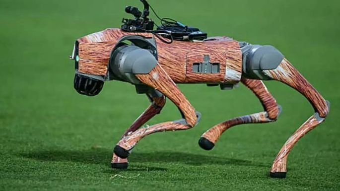 champak ipl robot